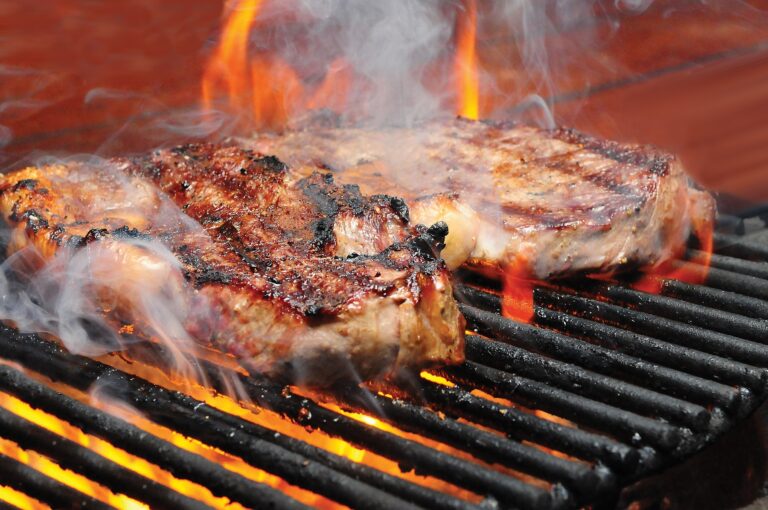 steak on a flame grill