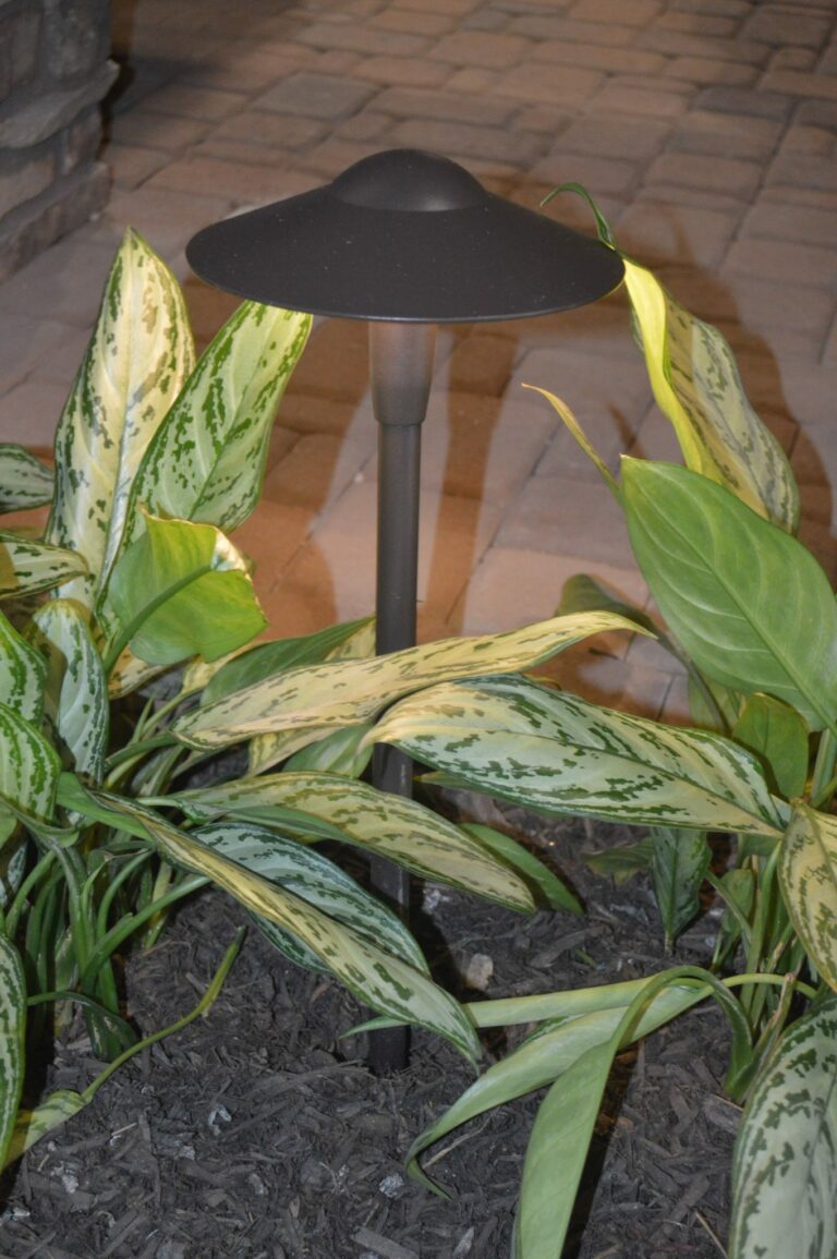 Backyard Living Trend for 2014: Get to Know Your Backyard Lighting Options