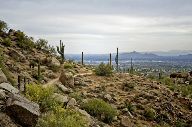 Hike the Phoenix/Scottsdale Area