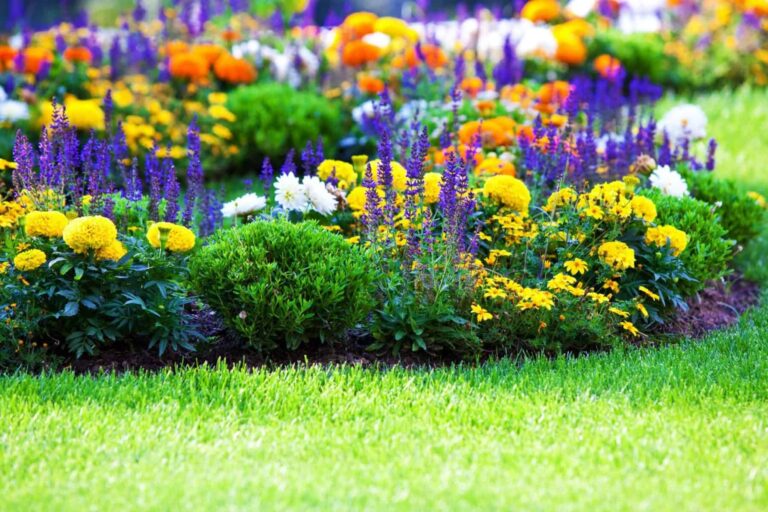 Beautiful multicolored flowerbed on green lawn